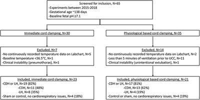 Physiologic-Based Cord Clamping Maintains Core Temperature vs. Immediate Cord Clamping in Near-Term Lambs